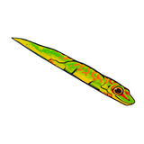 Day Gecko Peeker Sticker